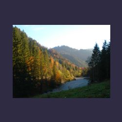 2012-10-20_Fall_AQUILA (220).JPG